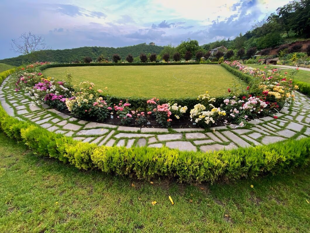 Imageedit 5 9415942829