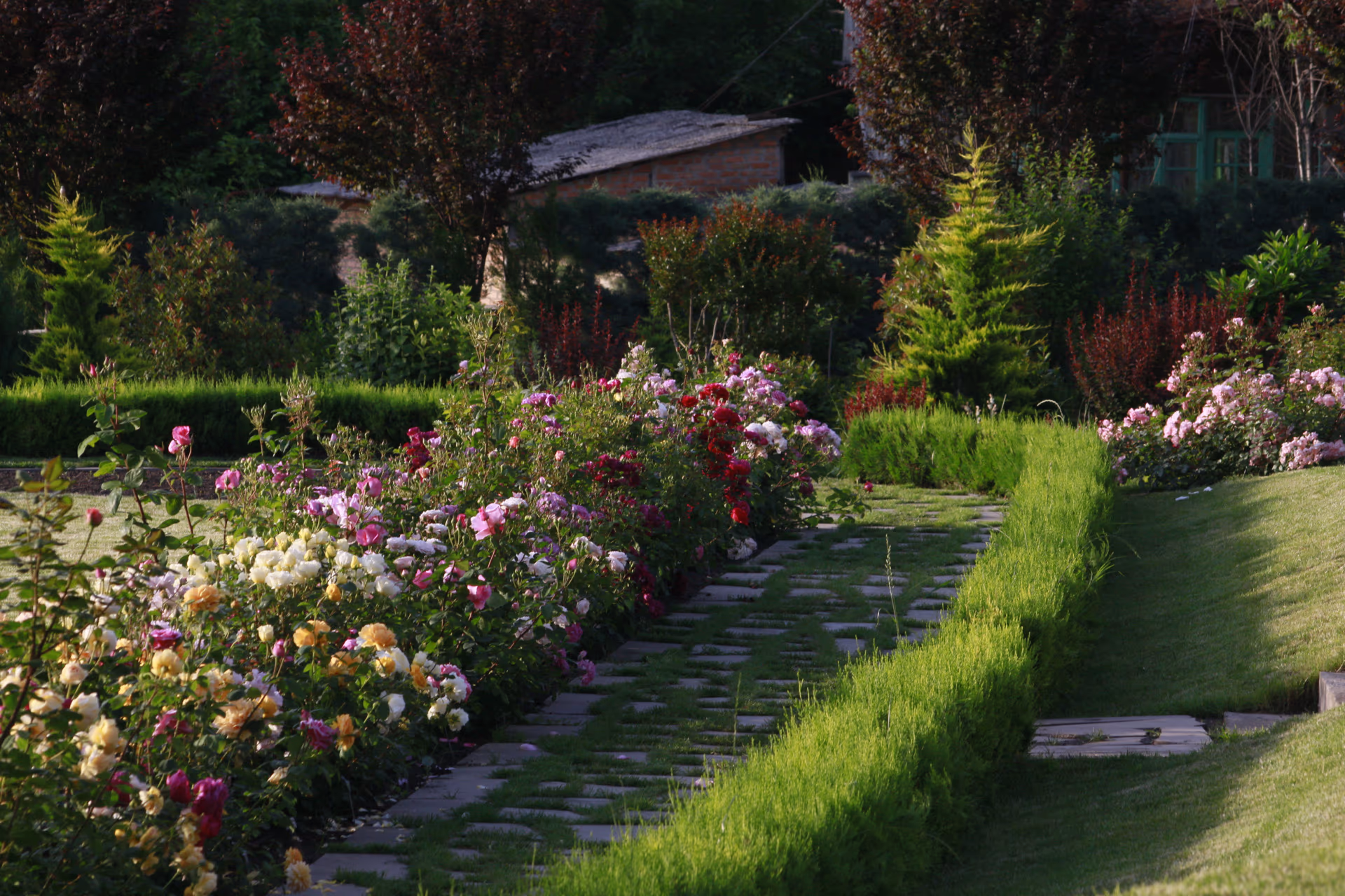 Rose Garden Gallery 01